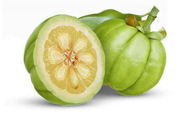 What Is Garcinia Cambogia?